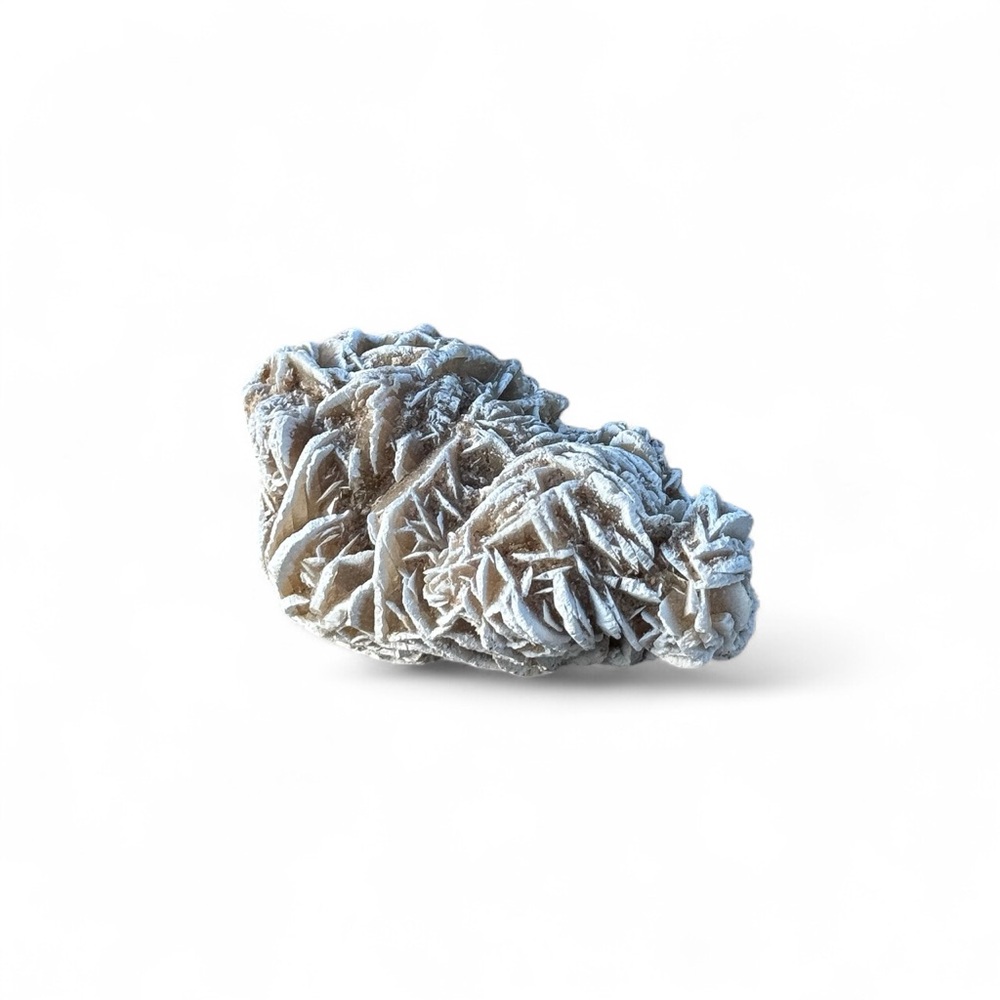 Desert Rose (Gypsum/Selenite)